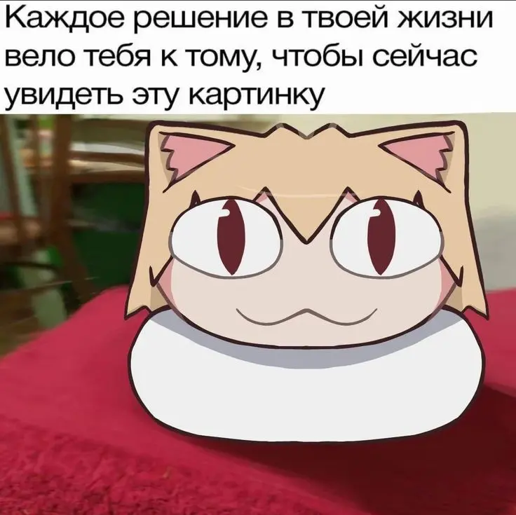 MintVeles
