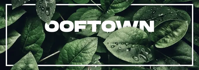 Euphster's OofTown