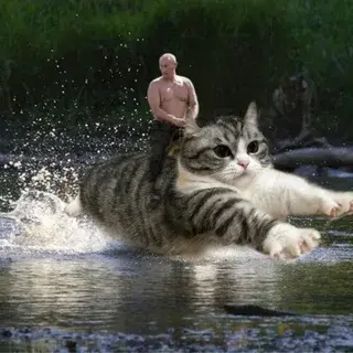 КАМАРУ серв